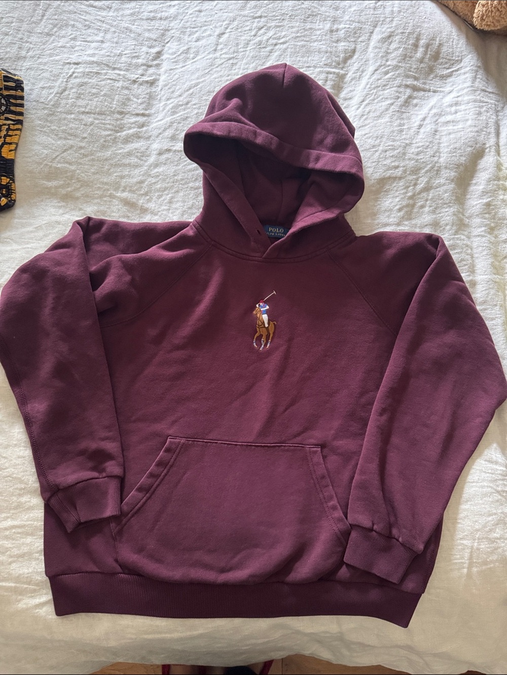 Polo by Ralph Lauren Wine Hooded Sweatshirt with Embroidered Pony